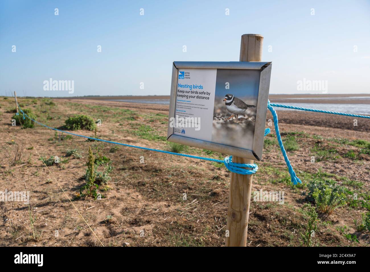 Snettisham Nature Reserve, Blick auf ein RSPB-Schild, das Vorsicht in der Nähe von Nistvögeln fordert, Snettisham Beach, Norfolk, England, Großbritannien Stockfoto