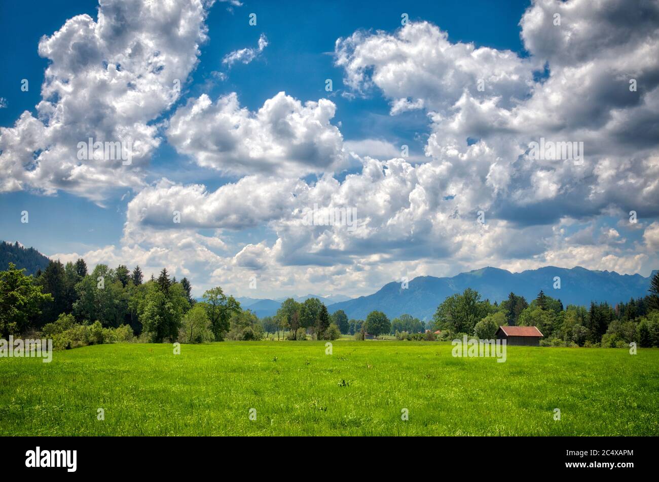 DE - BAYERN: Hochfilzen Moor bei Bad Tölz mit Brauneck im Hintergrund (HDR-Bild) Stockfoto