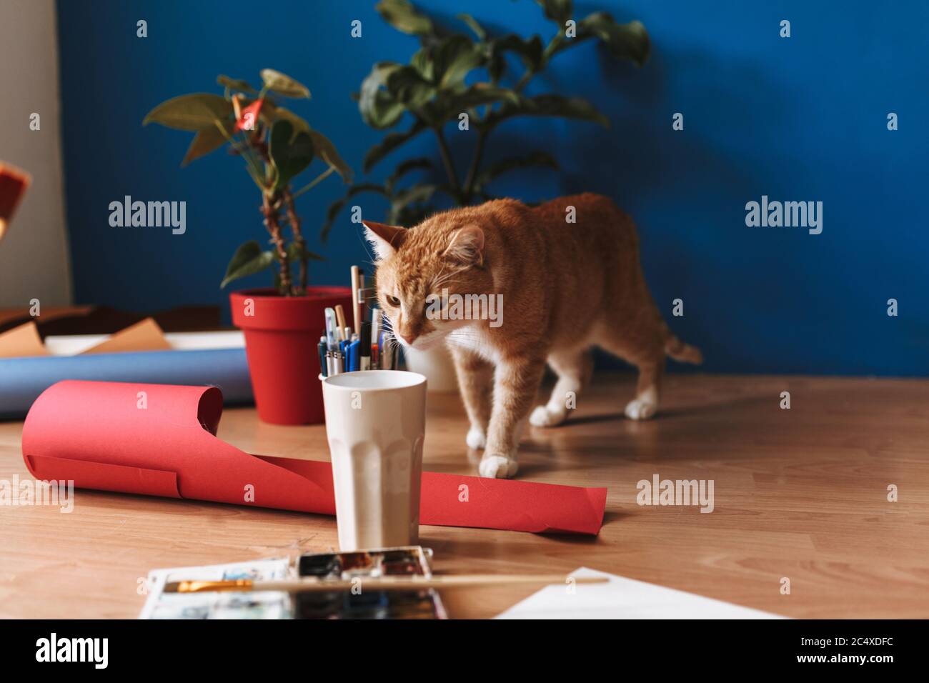 Nahaufnahme neugierige Katze schnüffeln Glas mit Farbwerkzeugen auf dem Boden zu Hause Stockfoto