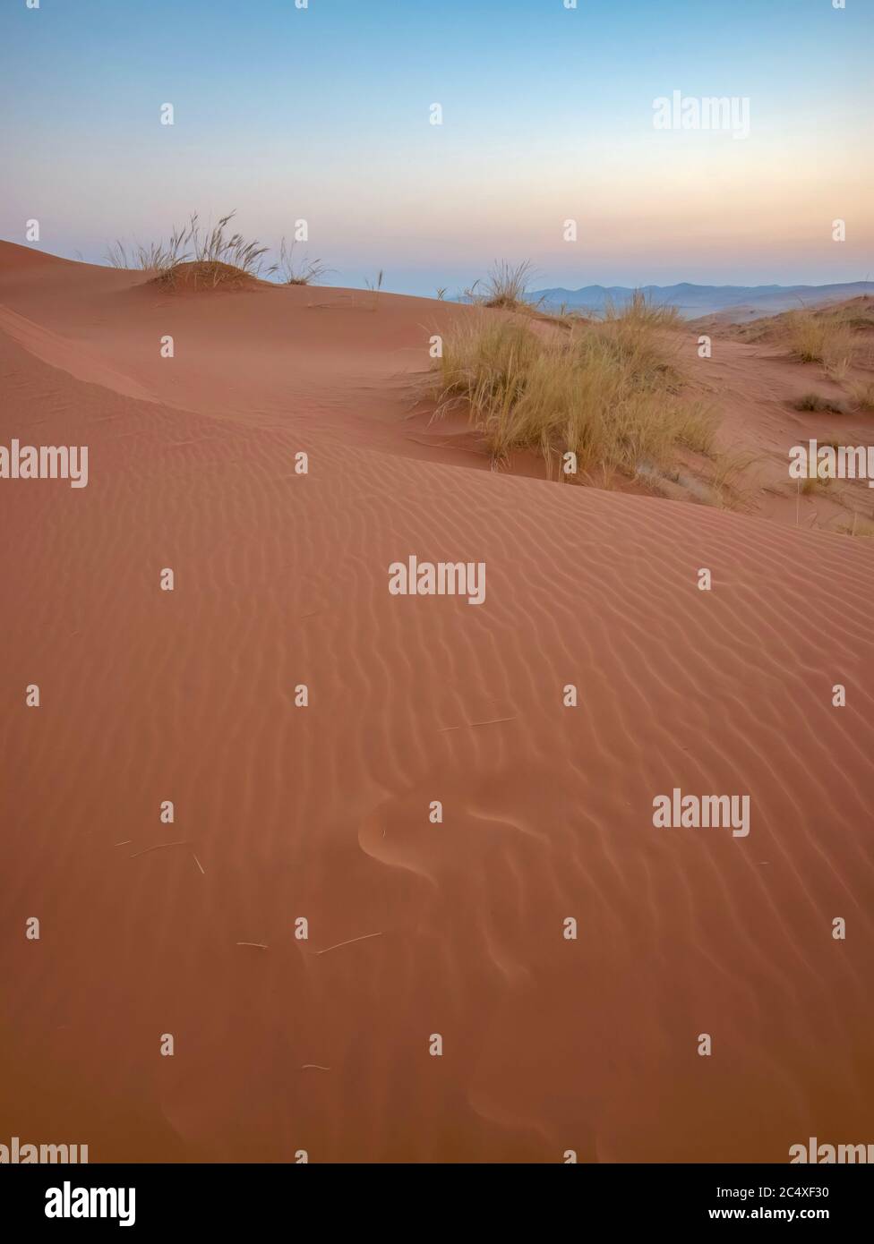 Ein vertikales Bild von Sanddünen in sanftem Licht bei Dämmerung, mit verblassenden Fußabdrücken im Vordergrund, in der Namib Wüste, Namibia. Stockfoto