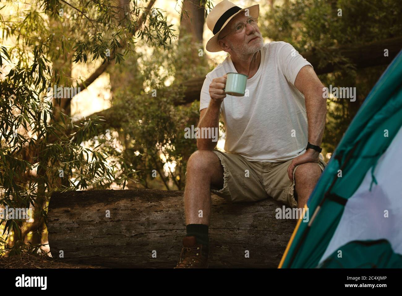 Rentner, der auf einem Holzbuch mit einer Tasse Kaffee sitzt. Ältere männliche Camping im Wald mit einem erfrischenden Kaffee. Stockfoto