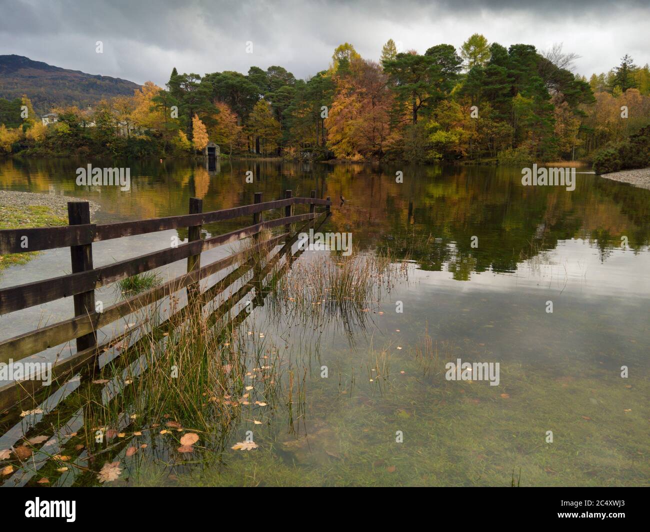 Brandelhow Bay auf Derwent Water im Lake District National Park, Cumbria, England. Stockfoto