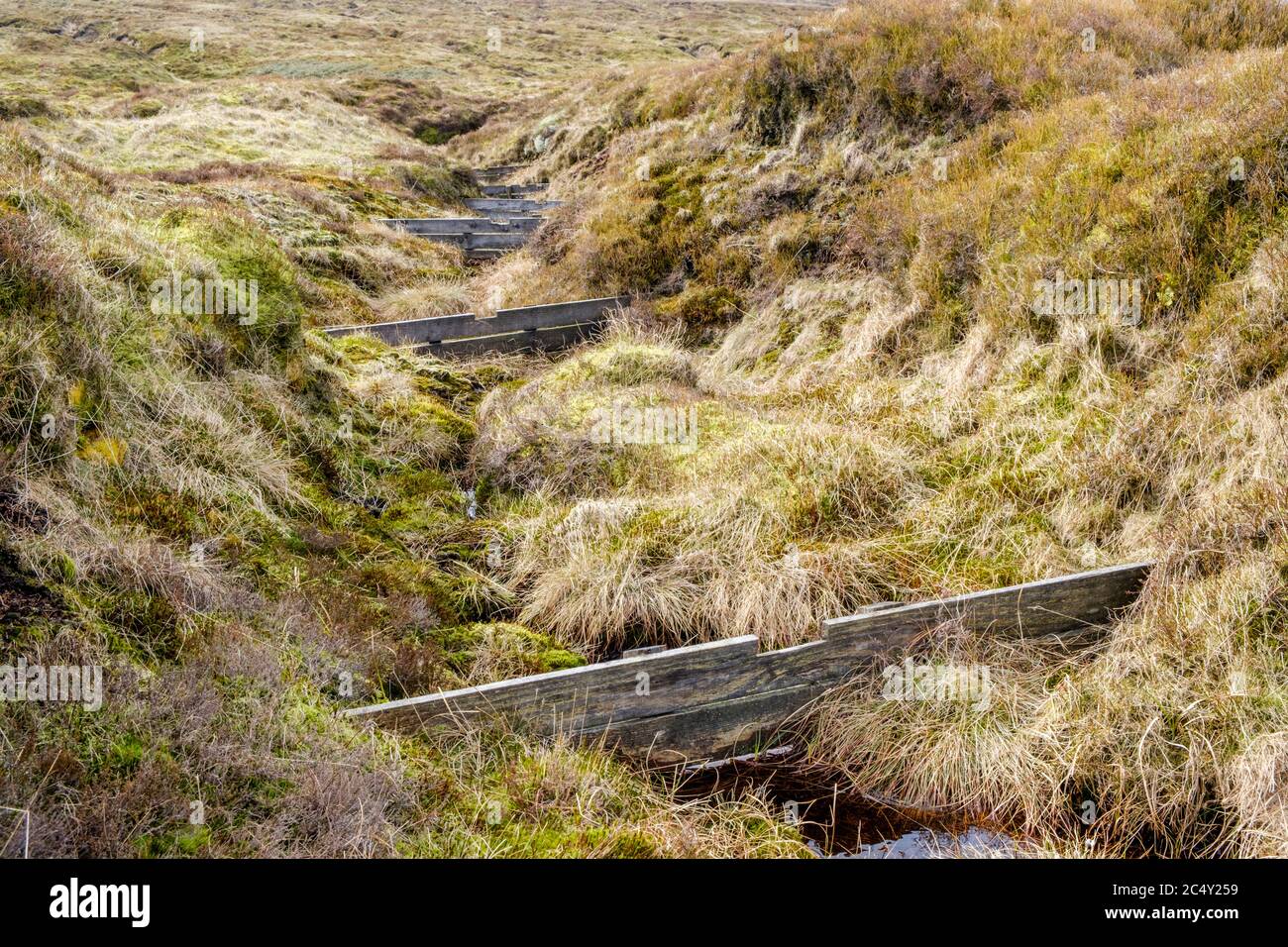 Rinne blockieren mit Holzdämmen verhindern Erosion des Moorlandes. Teil der Moorrestaurierung auf Kinder Scout, Derbyshire, Peak District, UK Stockfoto