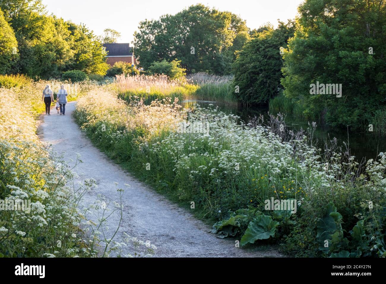 Menschen, die an einem Frühlingsabend entlang eines Fußweges am Grantham Canal, Gamston, West Bridgford, Nottinghamshire, England, Großbritannien, spazieren Stockfoto