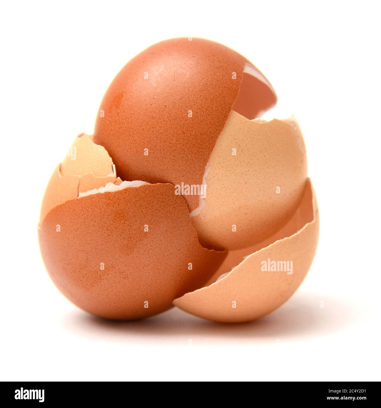Nahaufnahme von Eierschalen auf weißem Hintergrund Stockfoto