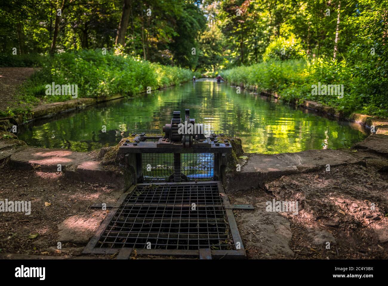 Arbeiter säugen Unkraut aus einem langen viktorianischen Teich in Wychood Wildgärten Stockfoto