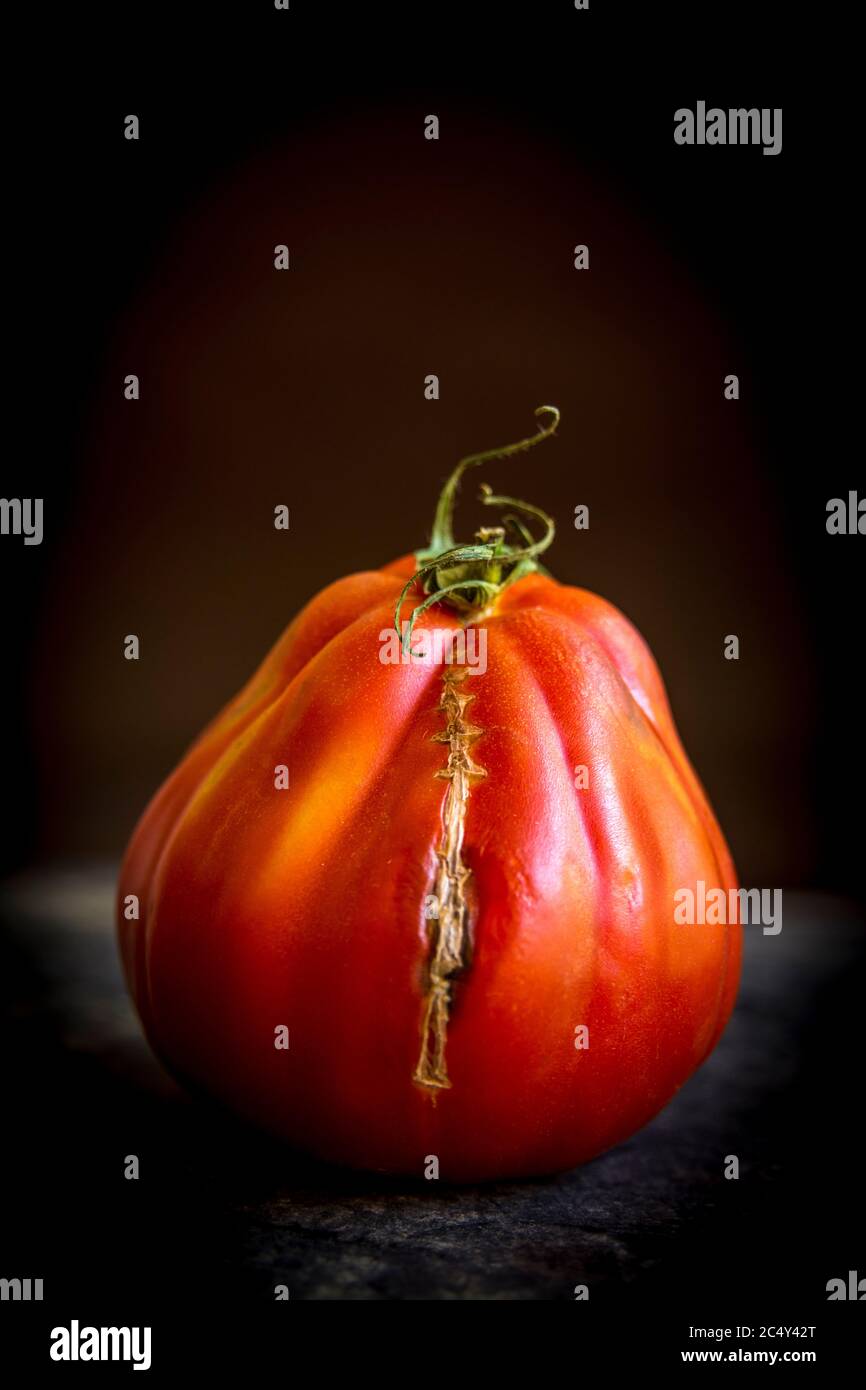 Hässliche rote Tomate Stockfoto