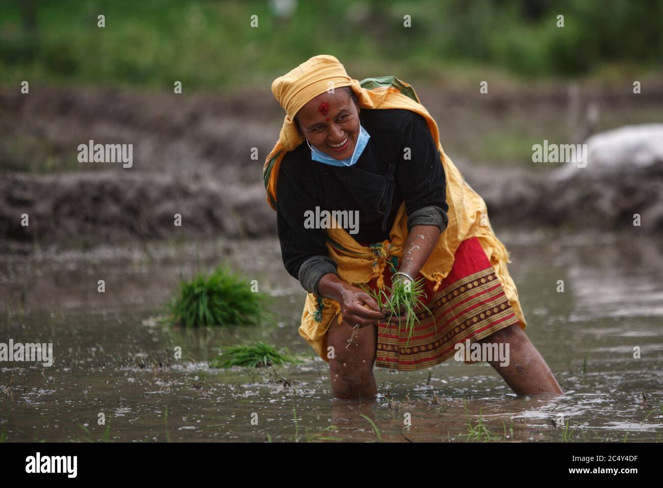 Kathmandu, Nepal. Juni 2020. Ein Bauer feiert das National Paddy Day Festival in Kathmandu, Nepal, 29. Juni 2020. Quelle: Sulav Shrestha/Xinhua/Alamy Live News Stockfoto