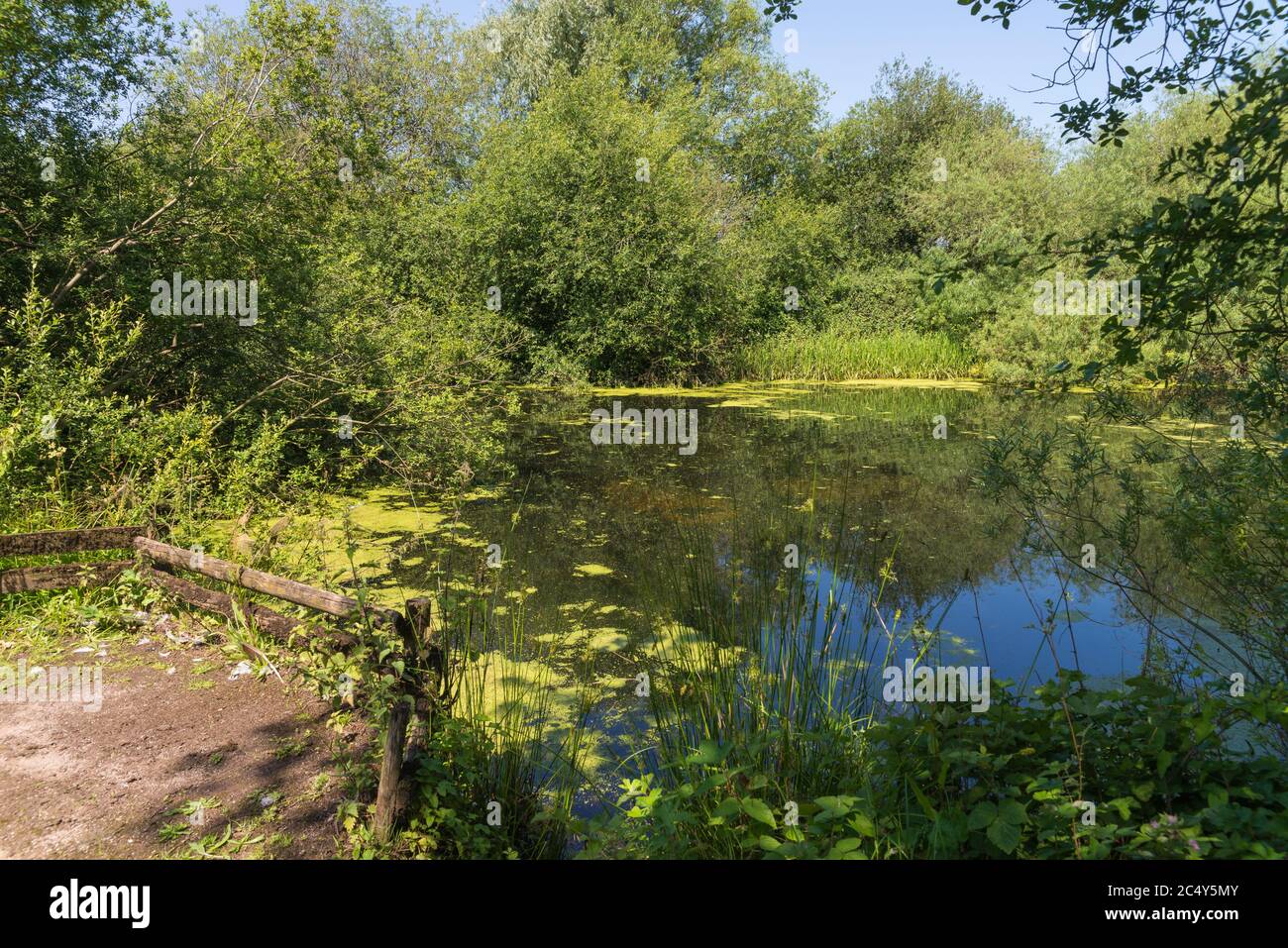 Gibson's Pool im Kingsbury Water Park, einem 600 Hektar großen Landschaftspark in North Warwickshire, Großbritannien Stockfoto