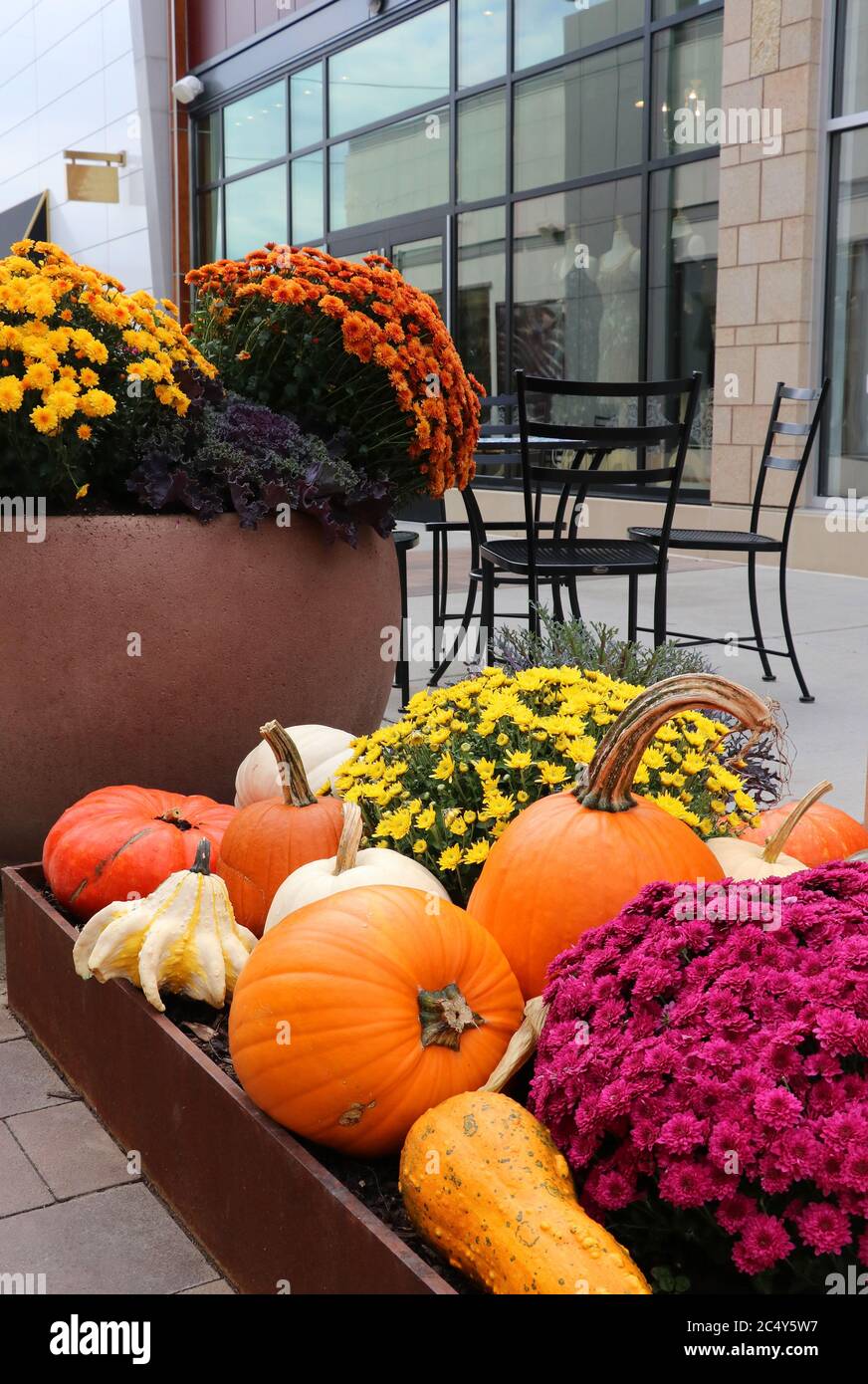 Outlet-Einkaufszentrum mit hellen Chrysanthemen und Kürbissen für die Herbstsaison Ferien, Outdoor-Möbel-Set und Schaufenster auf einem Backgrou dekoriert Stockfoto