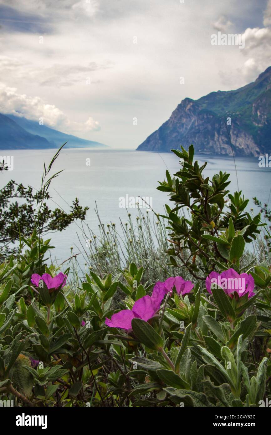 Blick auf den berühmten Gardasee an einem bewölkten Tag aus Aussichtspunkt in geschützten Biotopgebiet am Monte Brione in der Nähe der Stadt Riva del garda und Torbole Italien Stockfoto