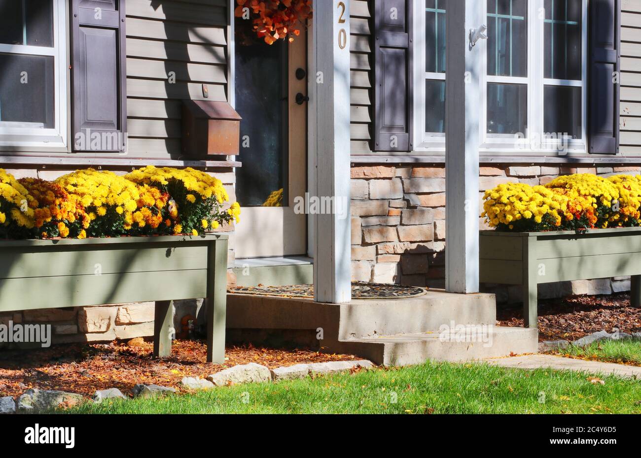 Vorgarten und Haupteingang des privaten Hauses von hellen Chrysanthemen für Herbstferien Saison dekoriert. Stockfoto