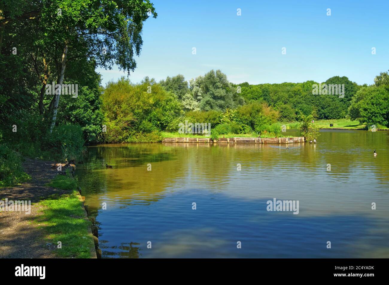 Großbritannien, South Yorkshire, Barnsley, Dearne Valley Country Park, Anglers Pond Stockfoto