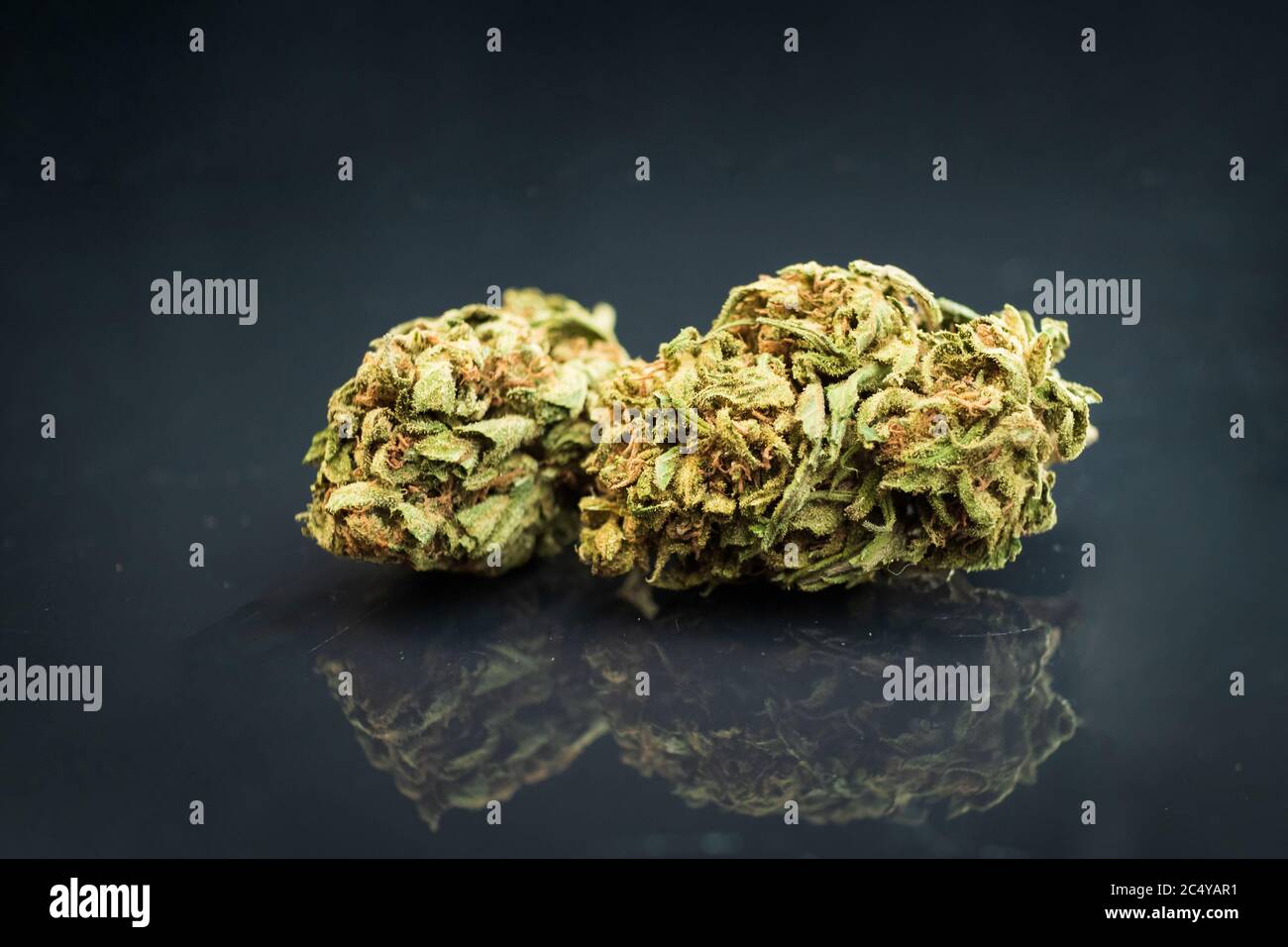 Zwei Cannabis Knospen auf dunklem Hintergrund, Nahaufnahme Stockfoto