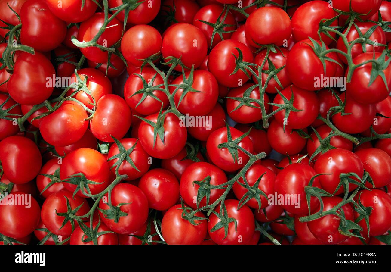 Schöne Tomaten (Baku Tomaten). Produkte auf dem östlichen Markt. basar Stockfoto