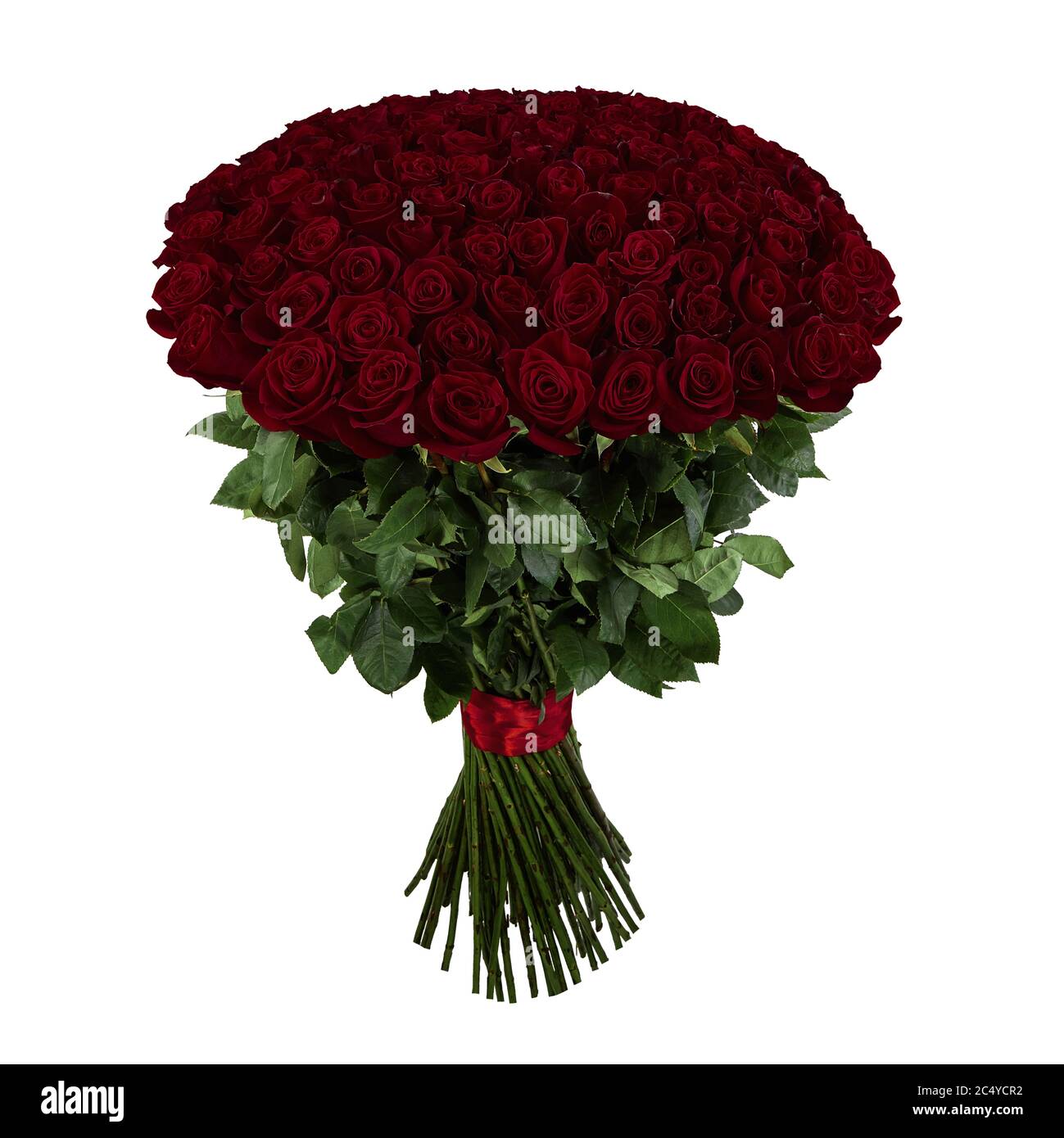 Rote Rose. Großes Bouquet von 101 roten Rosen Stockfotografie - Alamy