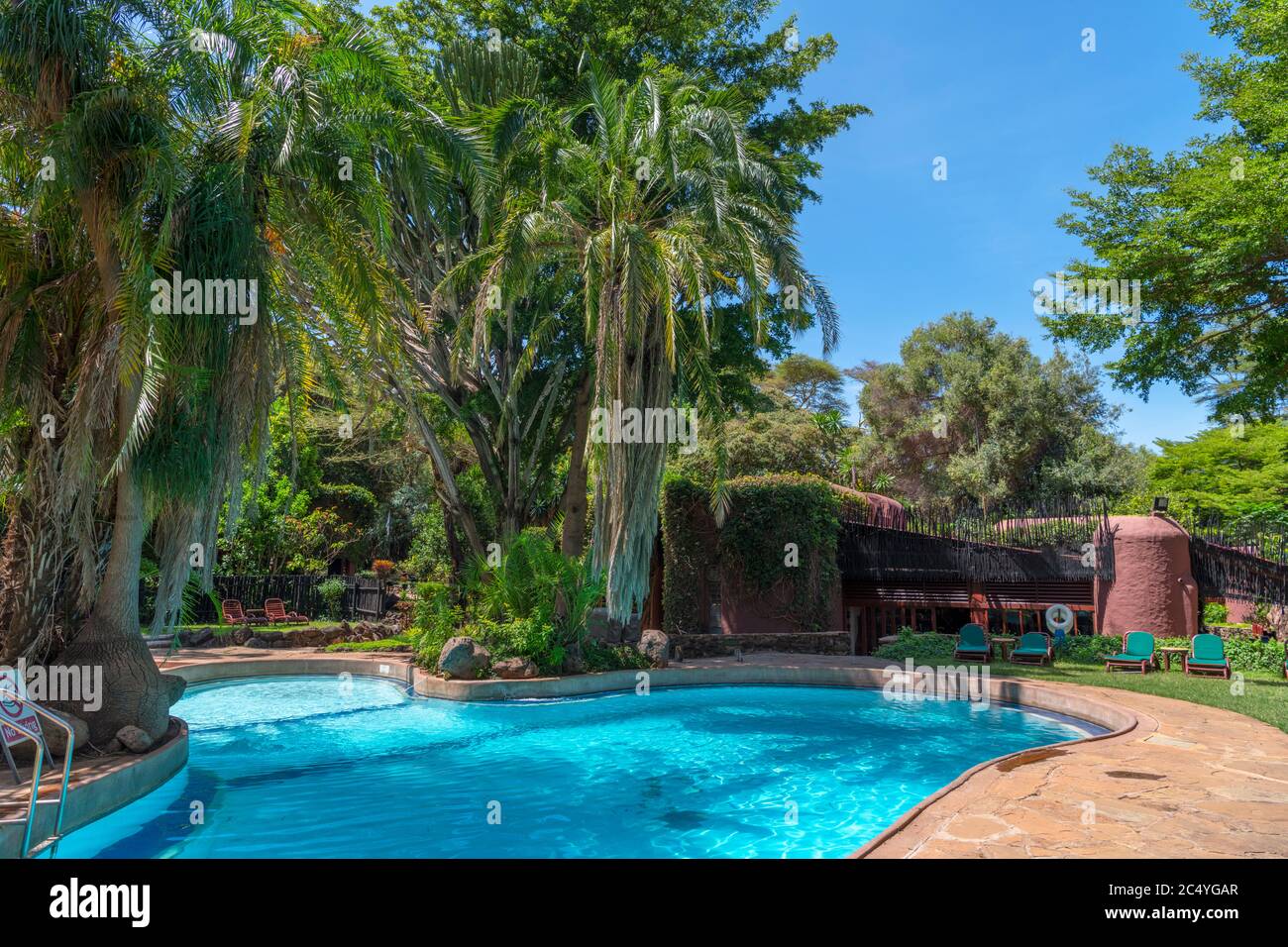 Schwimmbad in der Amboseli Serena Safari Lodge, Amboseli Nationalpark, Kenia, Afrika Stockfoto