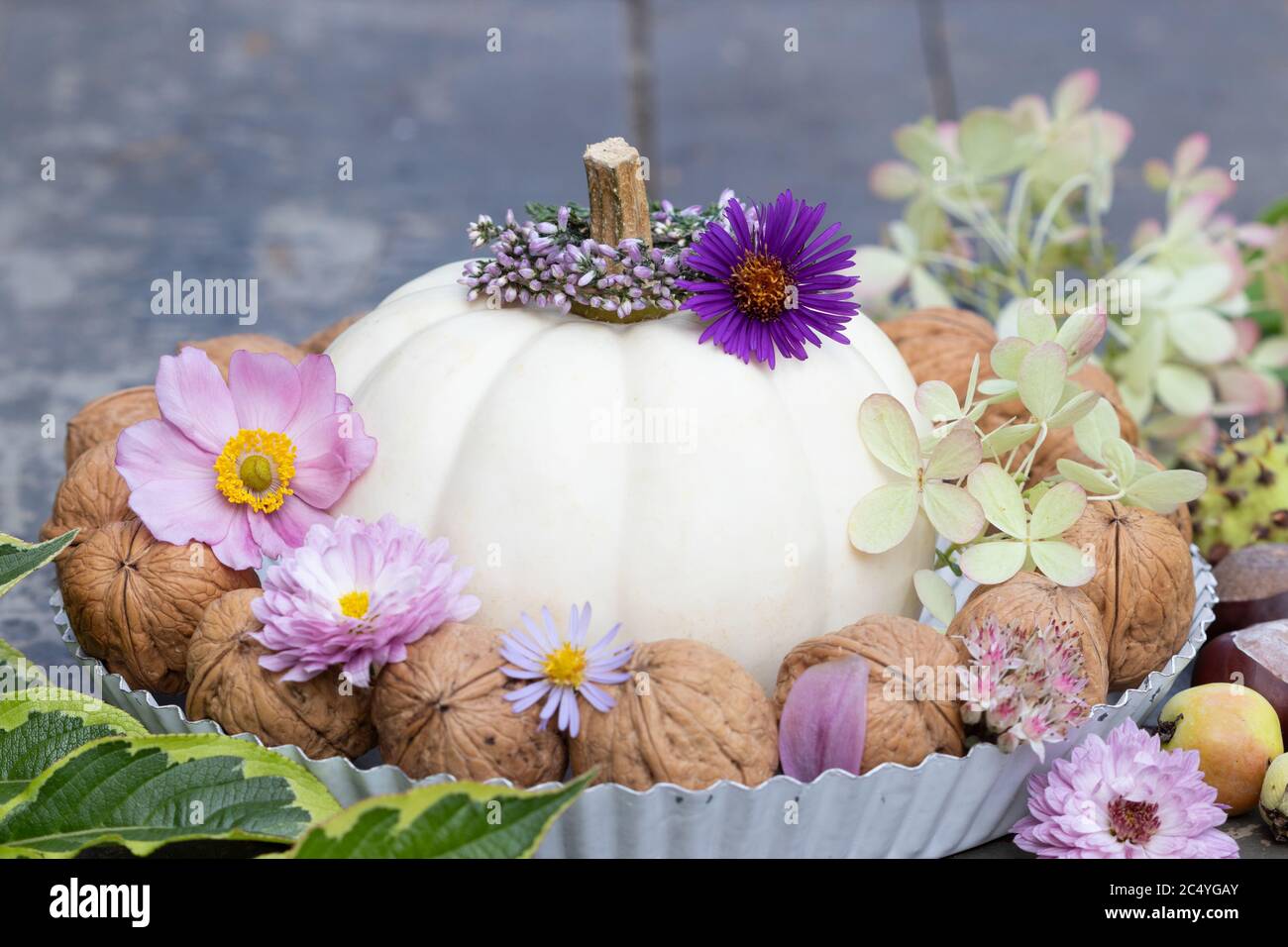 Herbstschmuck mit weißem Kürbis, Walnüssen und Blumen Stockfoto