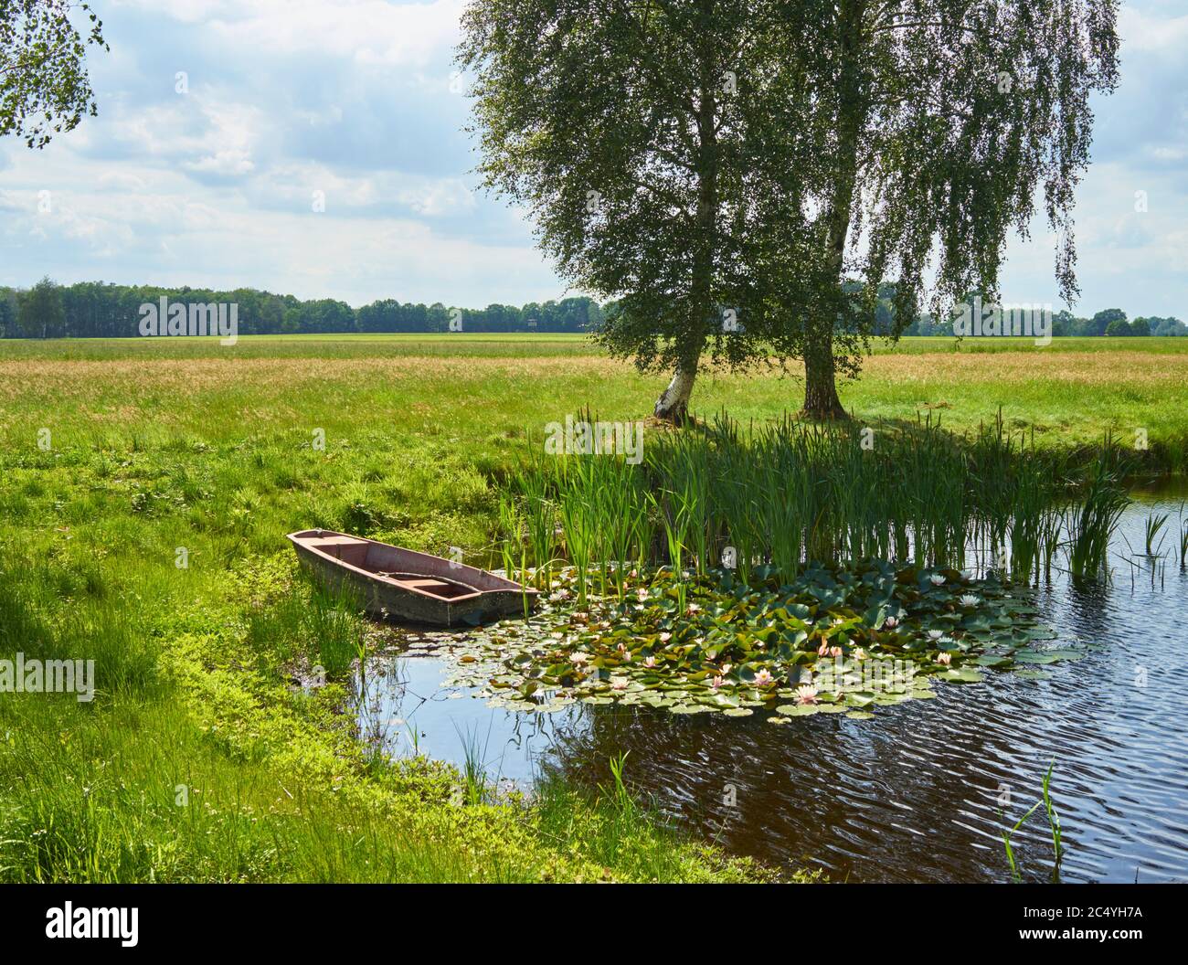 Flachland schiff Fotos und Bildmaterial in hoher Auflösung Alamy
