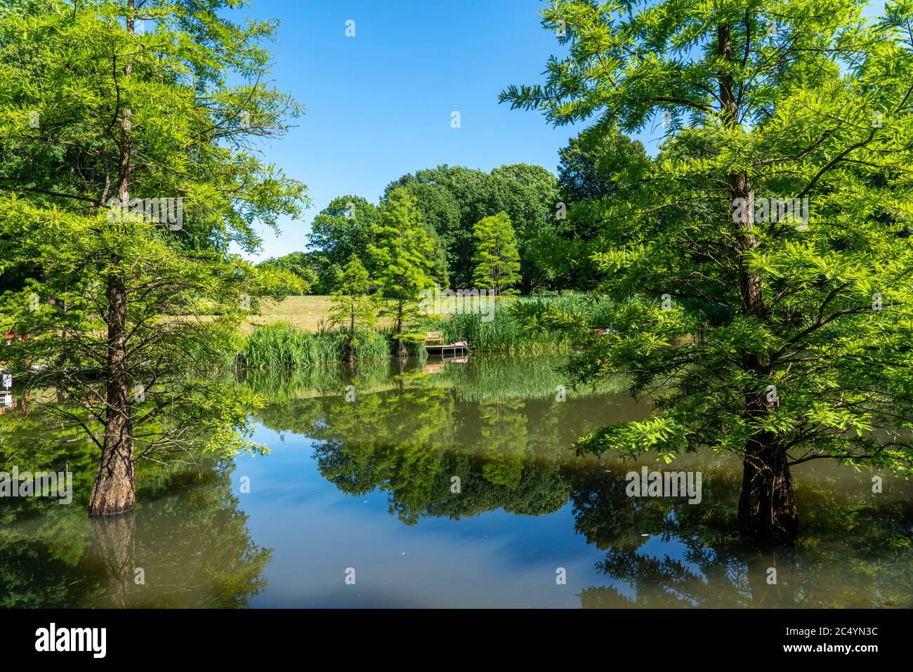 Ruhrgebiet Botanischer Garten Stockfotos und bilder Kaufen Alamy