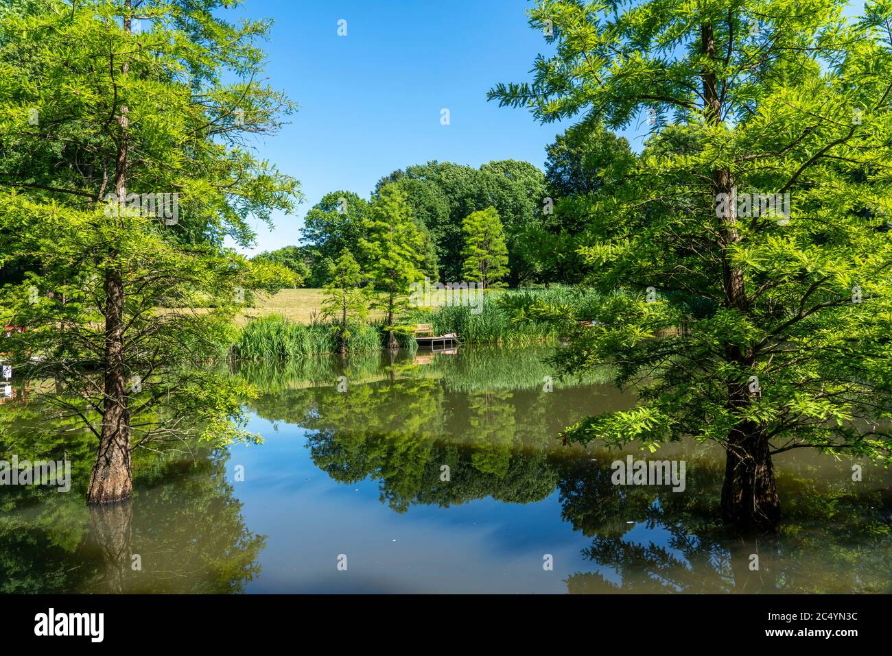 Der Grugapark, Essen, Botanischer Garten, Park für Freizeit und Erholung, Waldsee, NRW, Germanyd, Stockfoto