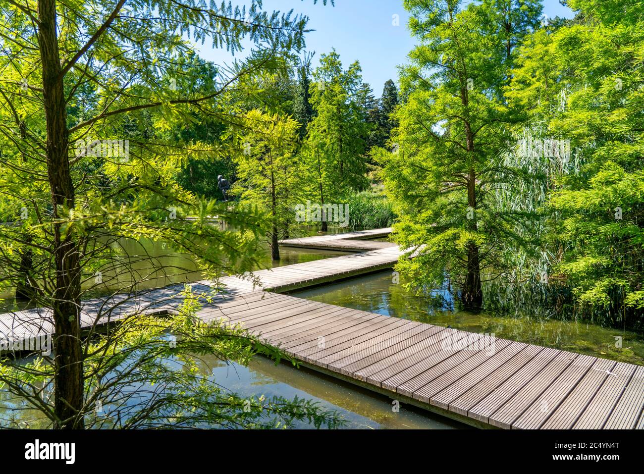 Ruhrgebiet Botanischer Garten Stockfotos und bilder Kaufen Alamy