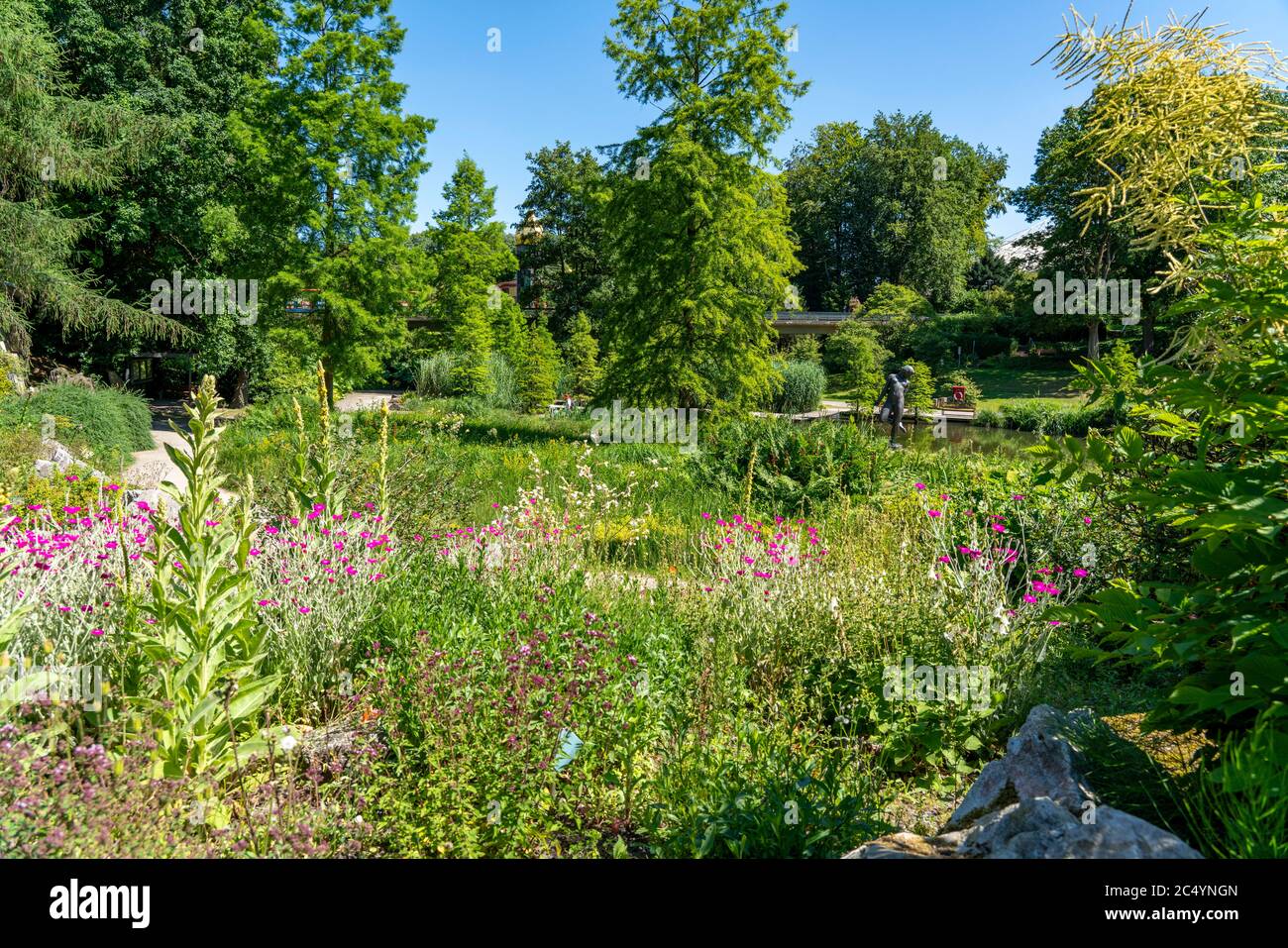 Grugapark, Essen, Botanischer Garten, Alpinumgebiet, Park für Freizeit und Erholung, NRW, Deutschland Stockfoto