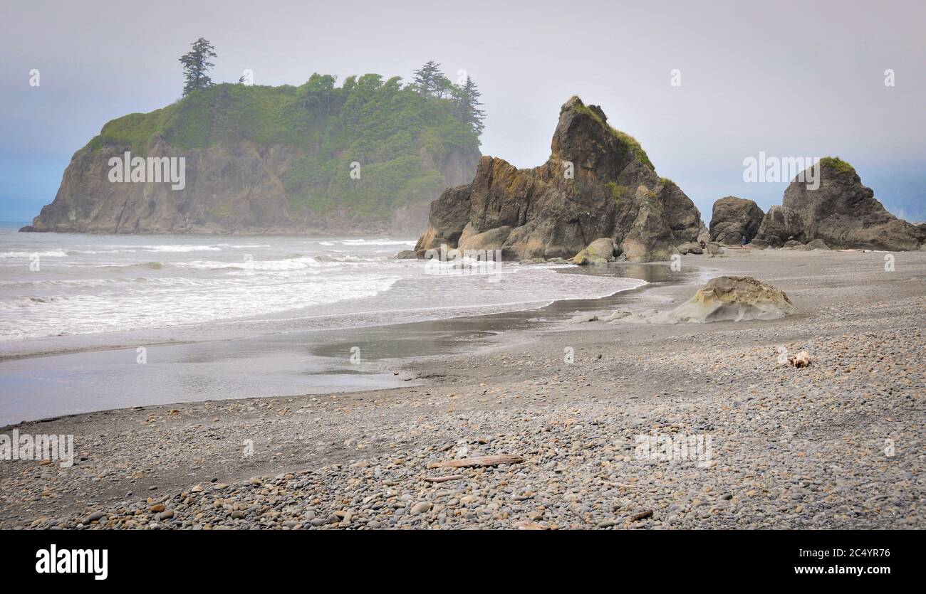 Malerische Landschaft des verlassenen Ruby Beach im Staat Washington. Keine Personen. Stockfoto