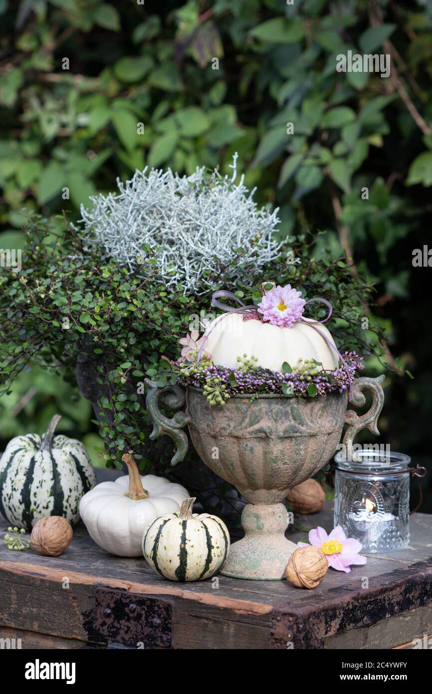 Herbstdeko mit weißem Kürbis in Vintage Vase und Herbstpflanzen Stockfoto