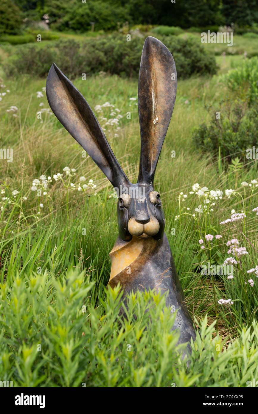 Natur in Bronze, Hare, von David Meredith in Trentham Gardens, Stoke-on-Trent, Staffordshire, Großbritannien Stockfoto