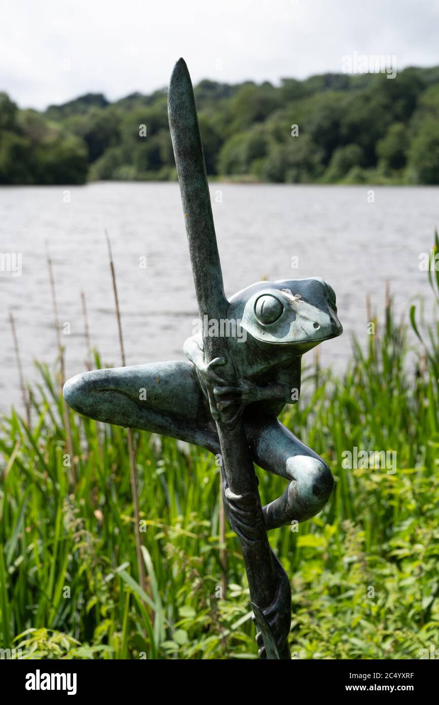 Natur in Bronze, Frosch, von David Meredith in Trentham Gardens, Stoke-on-Trent, Staffordshire, Großbritannien Stockfoto