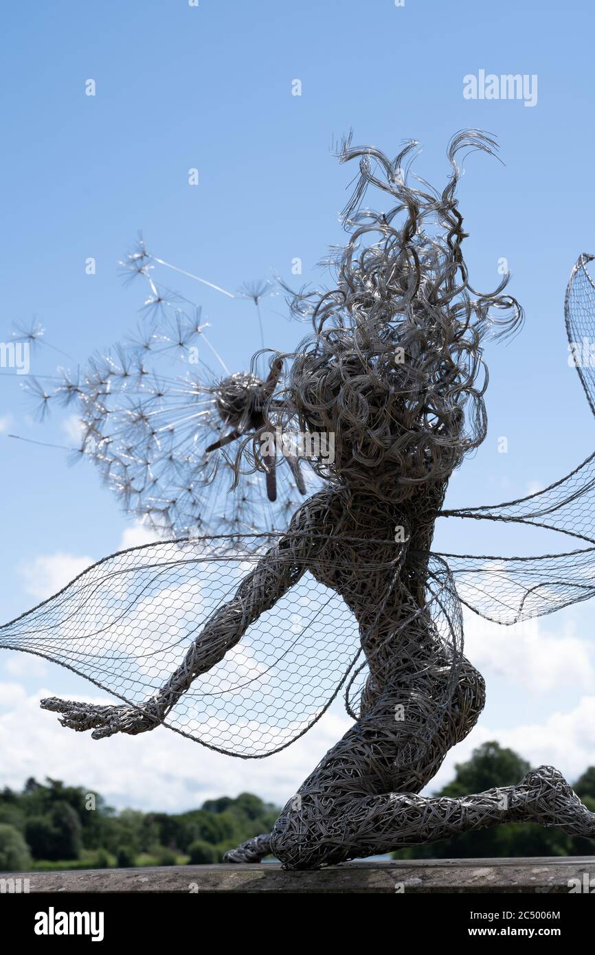 Drahtfeen und Löwenzahn-Skulpturen von Robin Wight oder Fantasy Wire. Trentham Gardens, Stoke-on-Trent, Staffordshire, Großbritannien Stockfoto