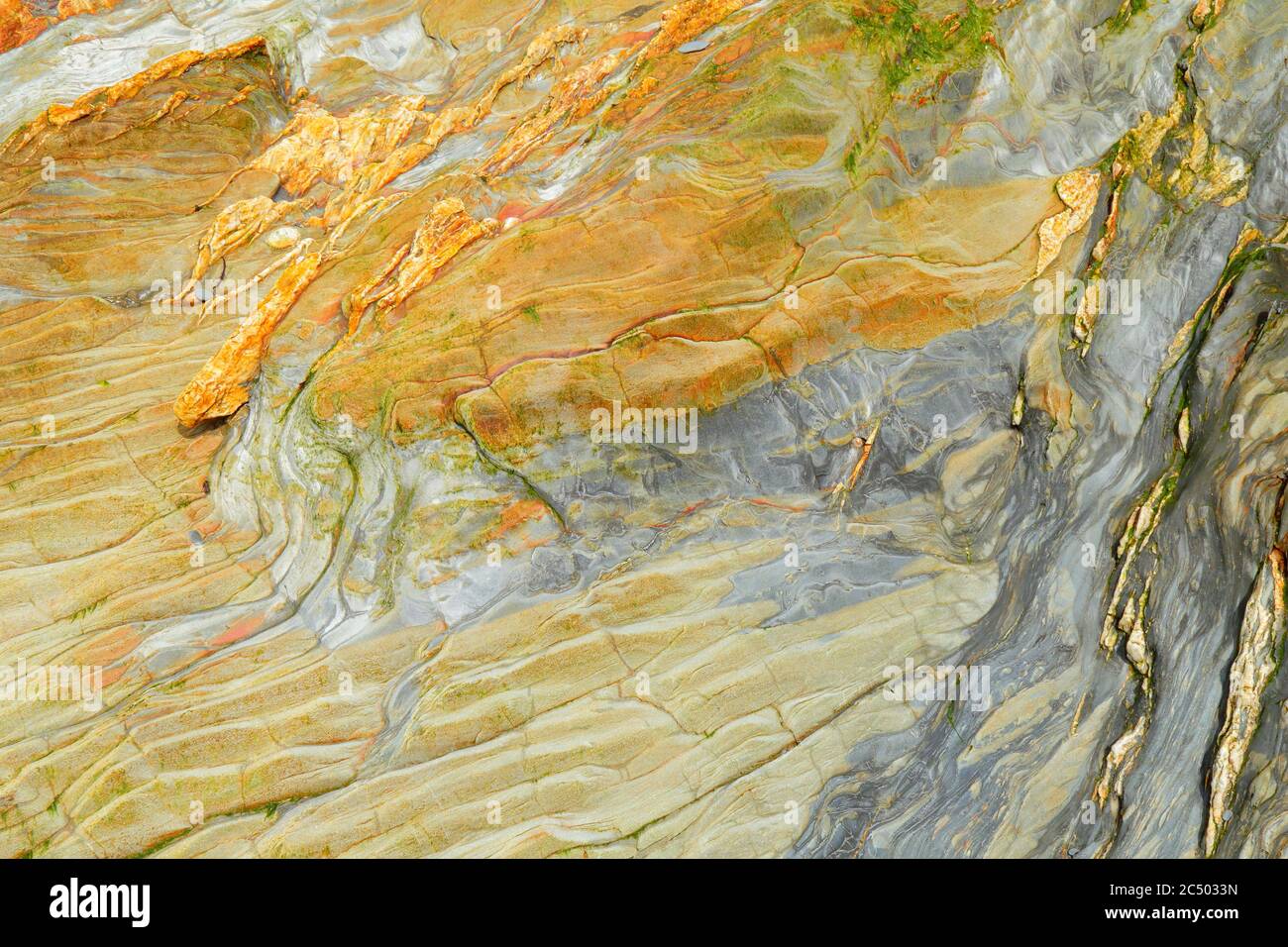 Detail der bunten Sandsteinoberfläche als abstrakter Hintergrund Stockfoto