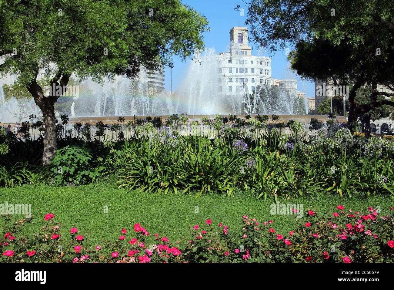Placa de Catalunya (Katalonien-Platz) in Barcelona, Spanien am frühen Morgen von der "grünen Seite" gefangen genommen. Reihen von Rosen und Bäumen umgeben die Founta Stockfoto