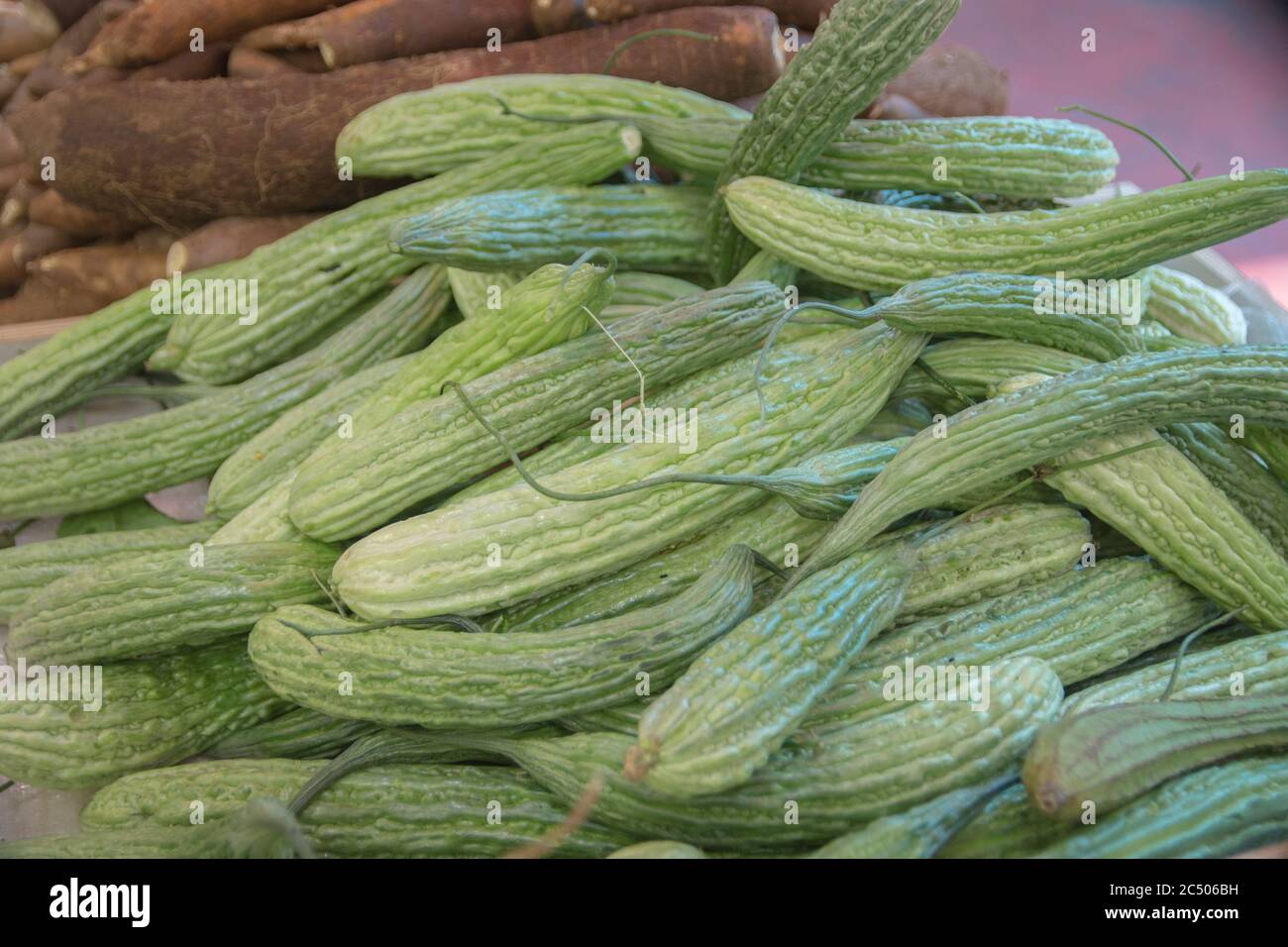 Ein Haufen frischer bitterer Melonobst (Momordica charantia), weit verbreitet in der Küche Ostasiens, Südasiens und Südostasiens, präsentiert für Sal Stockfoto