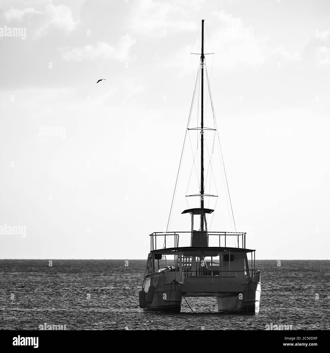 Yachten in der Bucht. Silhouetten von Yachten bei Sonnenuntergang. Stockfoto