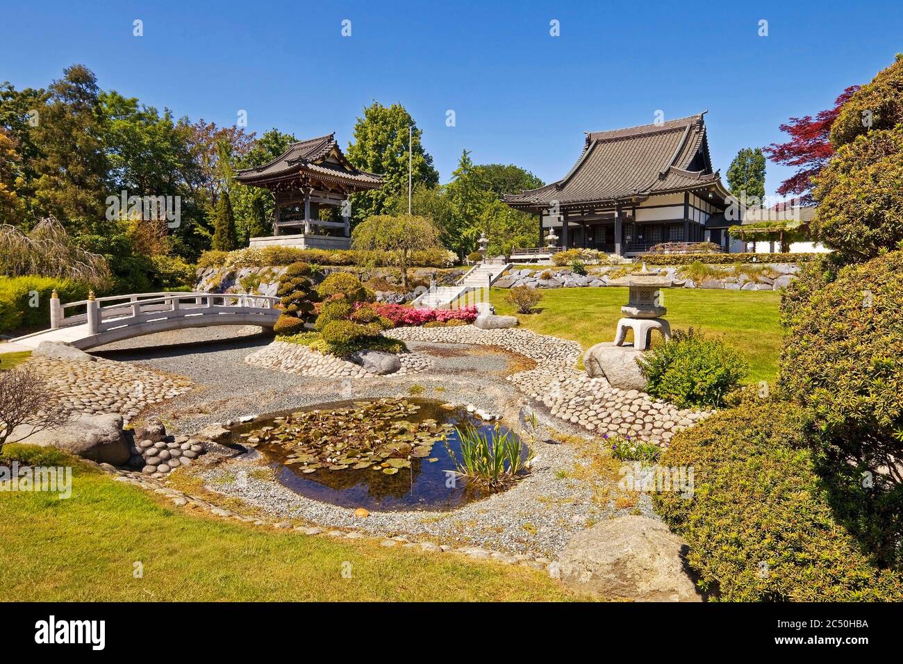 Tempelgarten des EKO-Hauses der japanischen Kultur, Deutschland, Nordrhein-Westfalen, Niederrhein, Düsseldorf Stockfoto