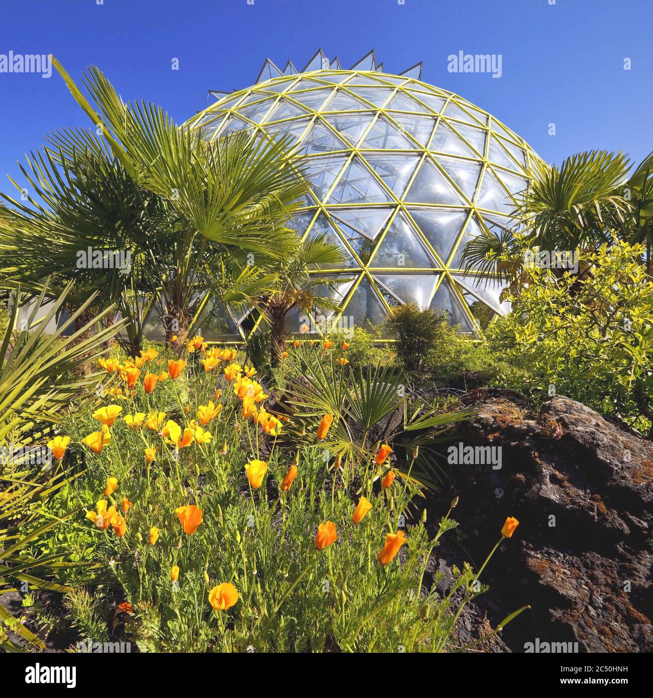 59+ Botanischen Garten Der Heinrich-Heine-Universität, Ein 18 meter