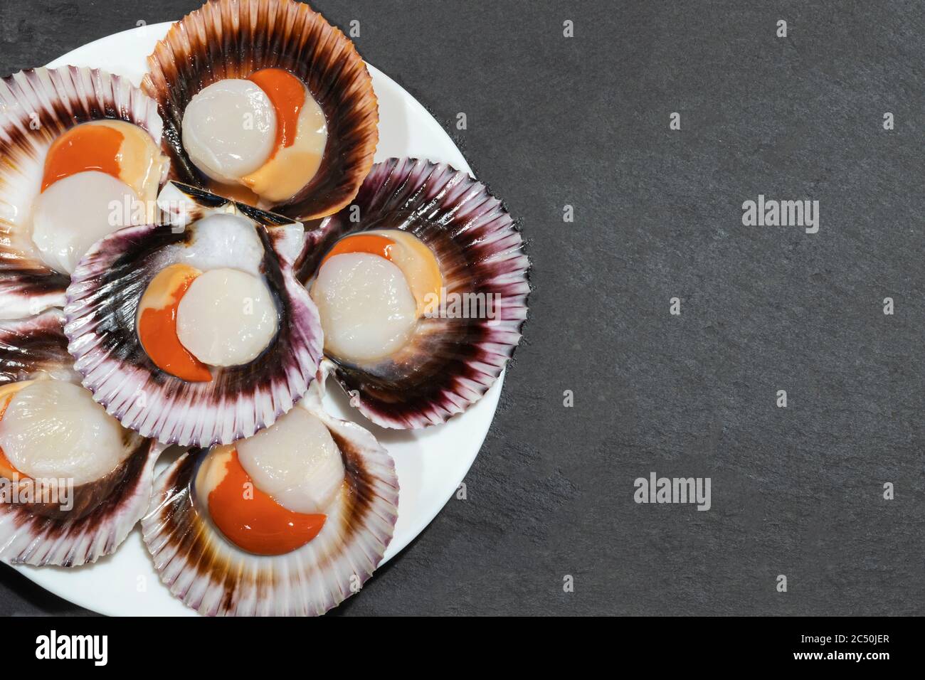 Ein weißer Teller mit großen rohen frischen Jakobsmuscheln mit orangenem Kaviar und Muscheln auf dunklem Hintergrund. Kopierbereich. Stockfoto