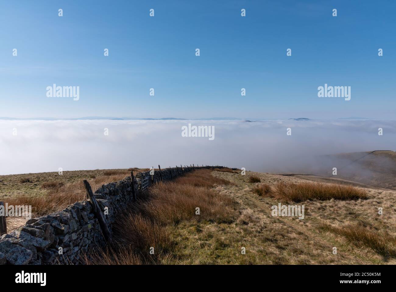 Bergwanderung in Pentland Hills, Frühling. Schottland Stockfoto