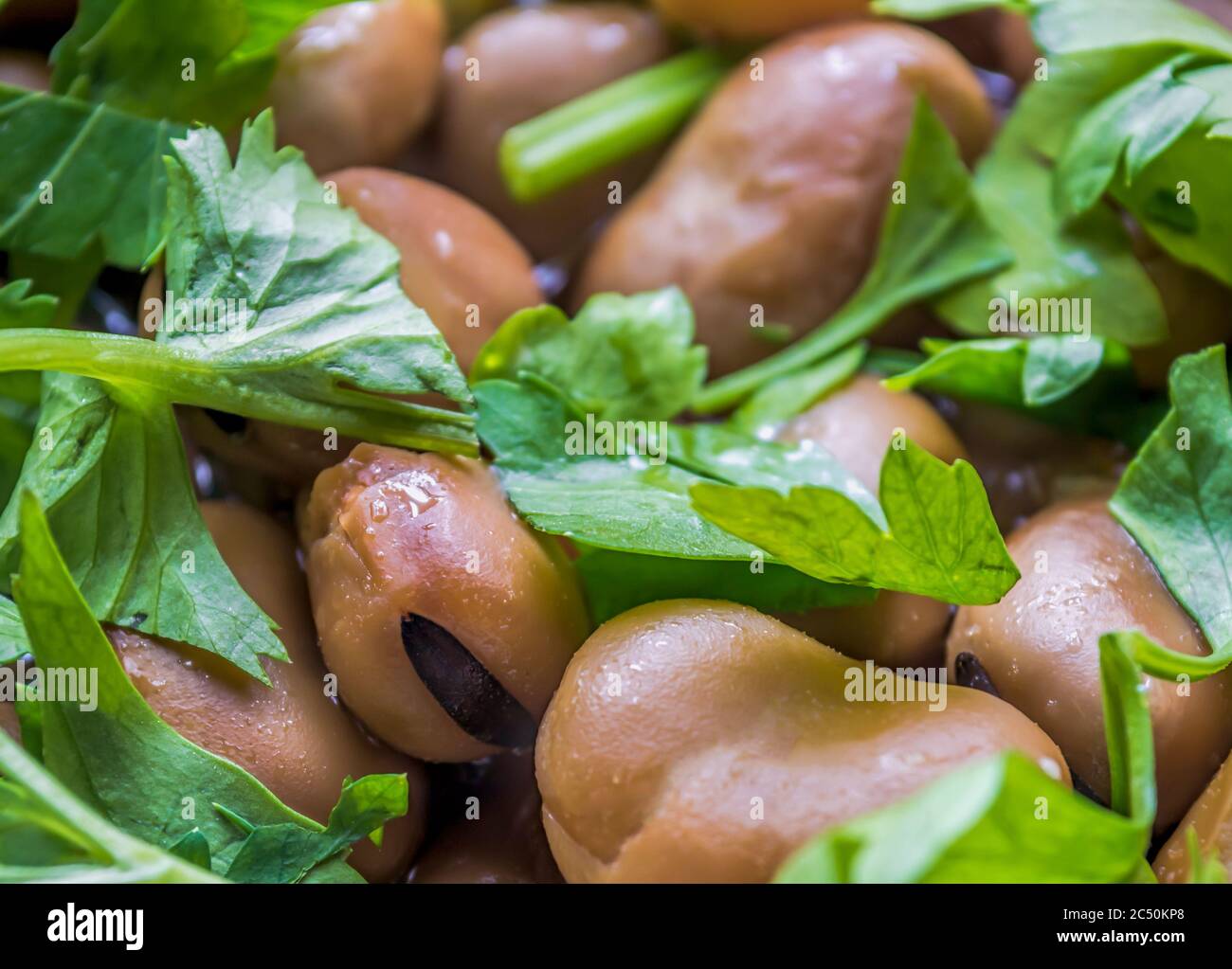 Cloes up der ägyptischen Fava Bohnen mit Zitrone, Kreuzkümmel, Gemüse Öl und Stockfoto