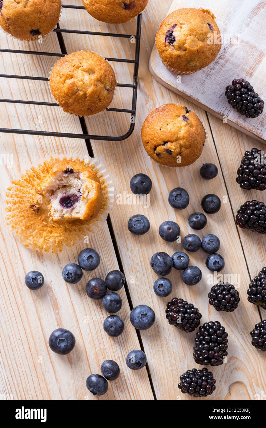 Blaubeeren Muffins oder Cupcakes mit frischen Beeren und Lavendel auf Holztisch. Sommer Farben und Aromen Stockfoto