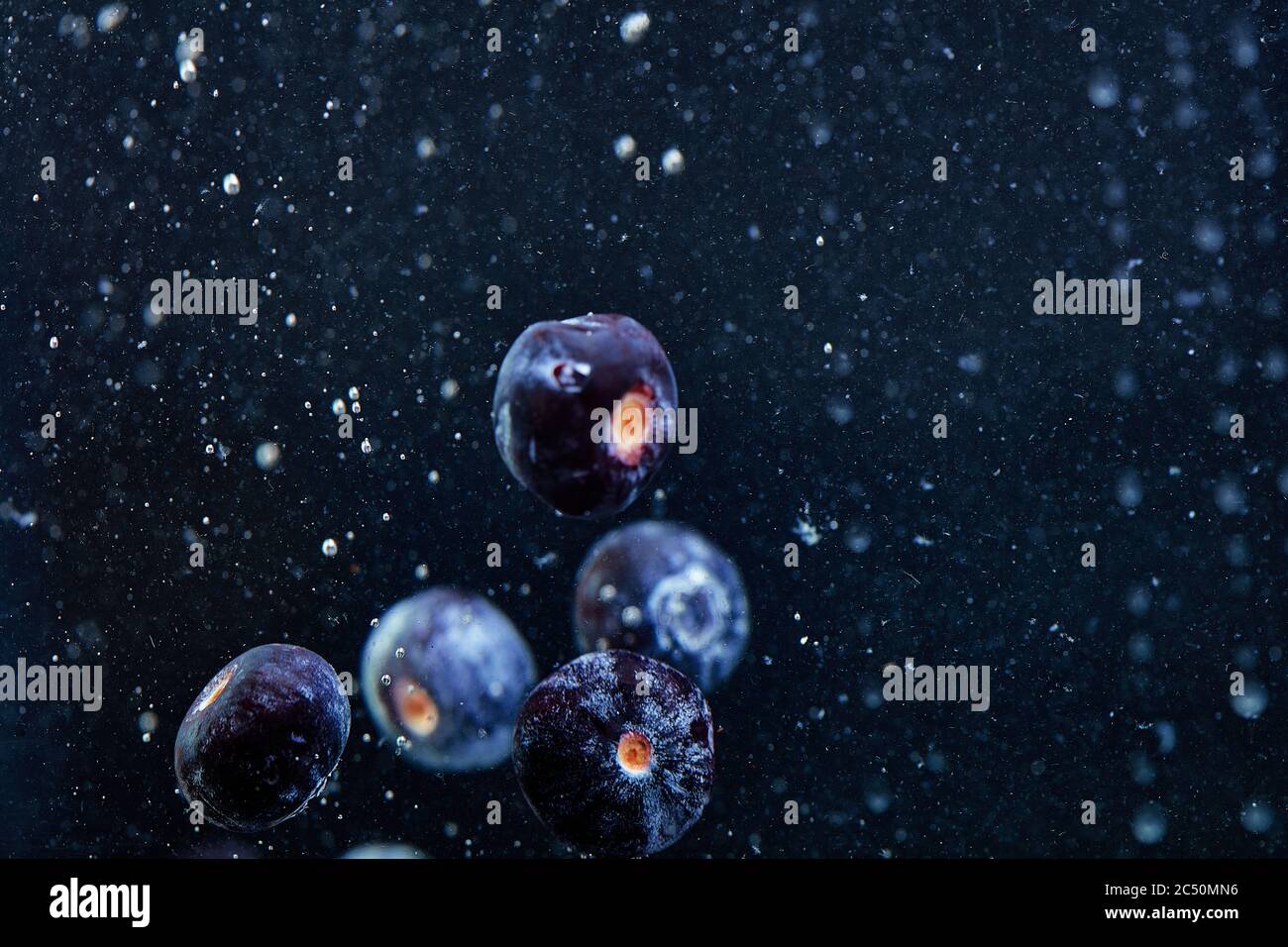 Heidelbeeren im Wasser. Saftige Beeren fallen ins Wasser, spritzt und bläst um die Heidelbeeren herum. Beeren waschen im Wasser, auf einem schwarzen Backgr Stockfoto