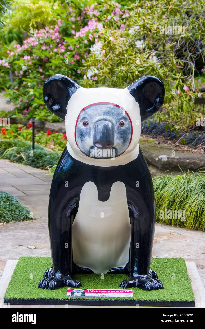 Sydney Australien 13. Okt. 2019. Die 'Ich bin KEIN Bär' Koala Statue mit Panda Anzug in Royal Botanic Gardens. Beide Tiere sind ikonische nationale Symptome. Stockfoto