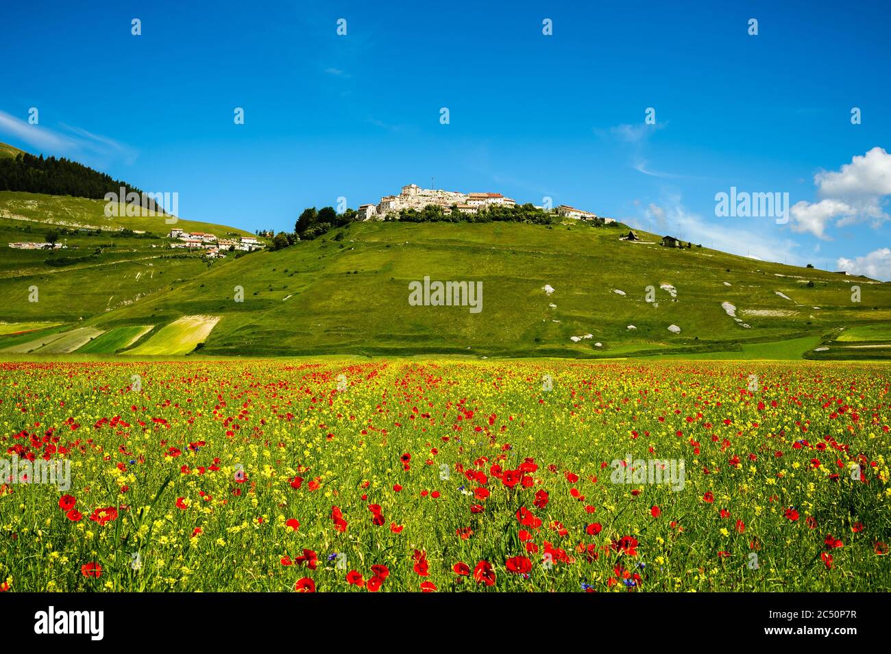 Castelluccio di Norcia, kleine Stadt zwischen Sibillini Bergen, fast vollständig nach dem Erdbeben zerstört, während Felder blühen (Juni 2020). Stockfoto