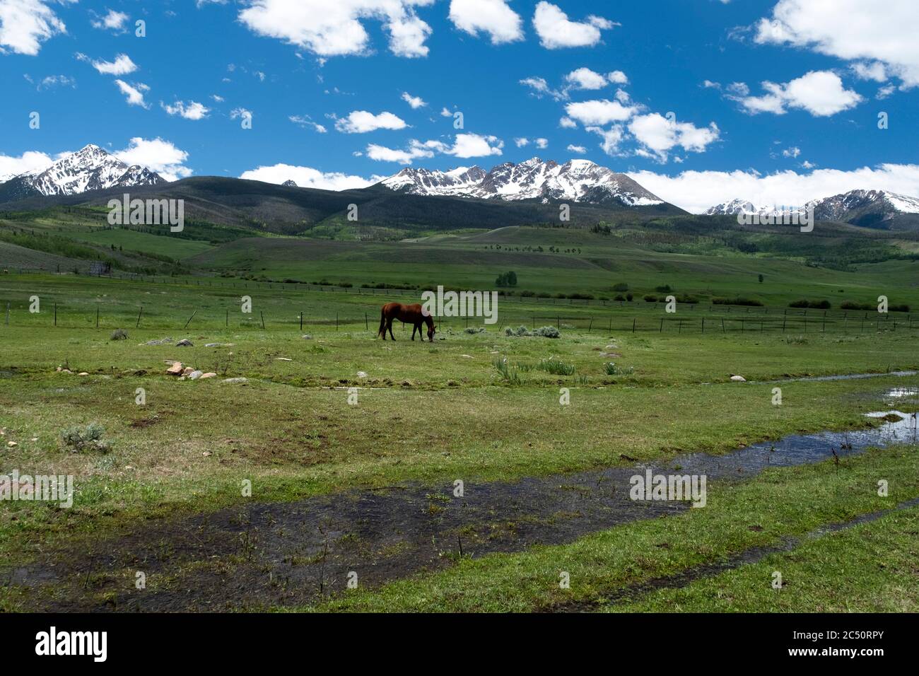 Pferde grasen unterhalb der malerischen Gore Range im Blue River Valley von Summit County, Colorado Stockfoto