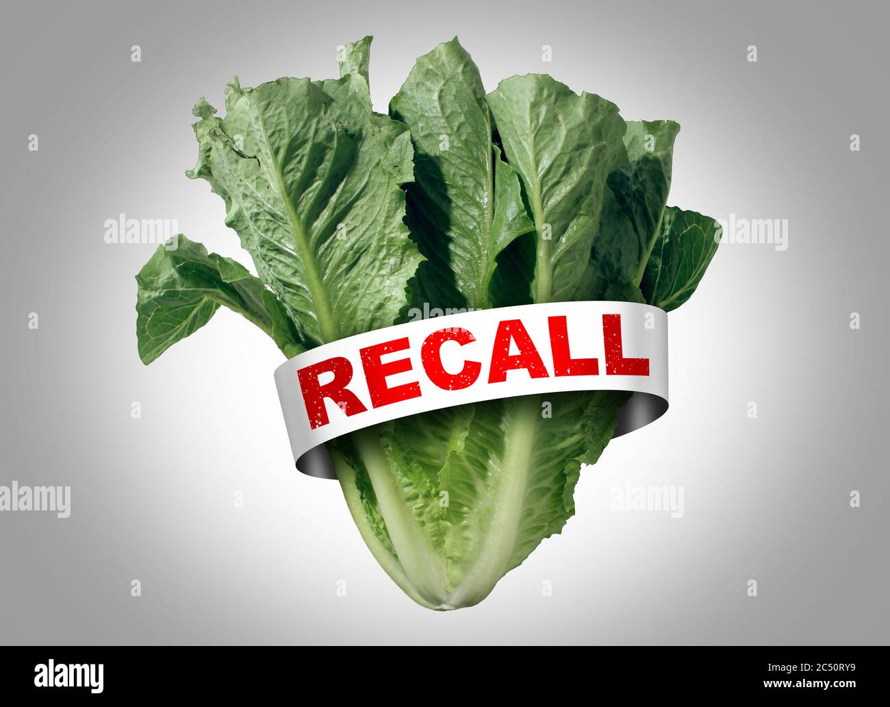 Salat erinnern als Romaine Salat e coli Ausbruch Lebensmittelvergiftung als pflanzliche Cyclospora Kontamination oder gefährliche Bakterien als öffentliche Gesundheit. Stockfoto