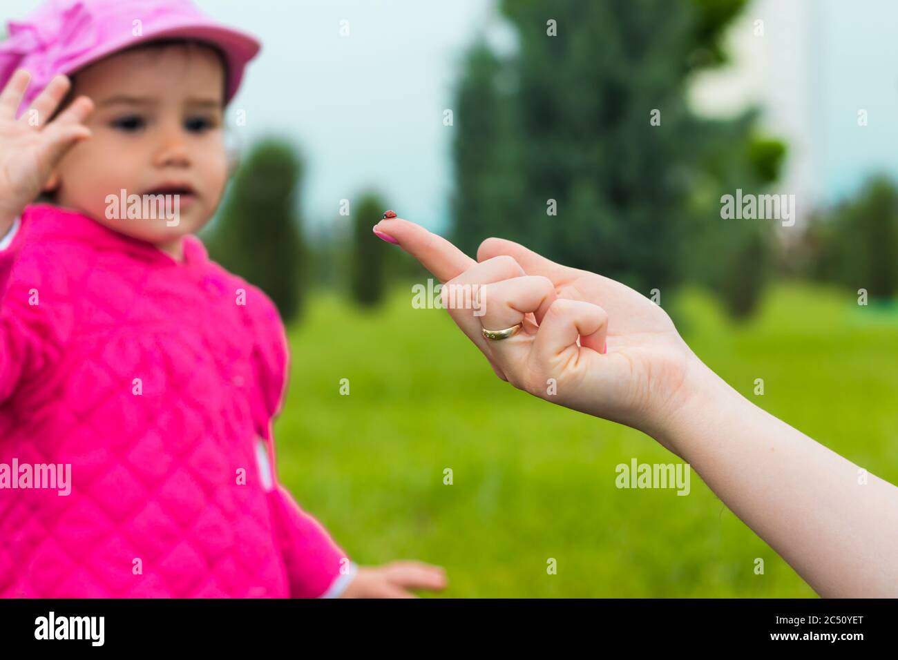 Ein 2-jähriges Mädchen, das auf einen Marienkäfer am Finger ihrer Mutter schaut Stockfoto