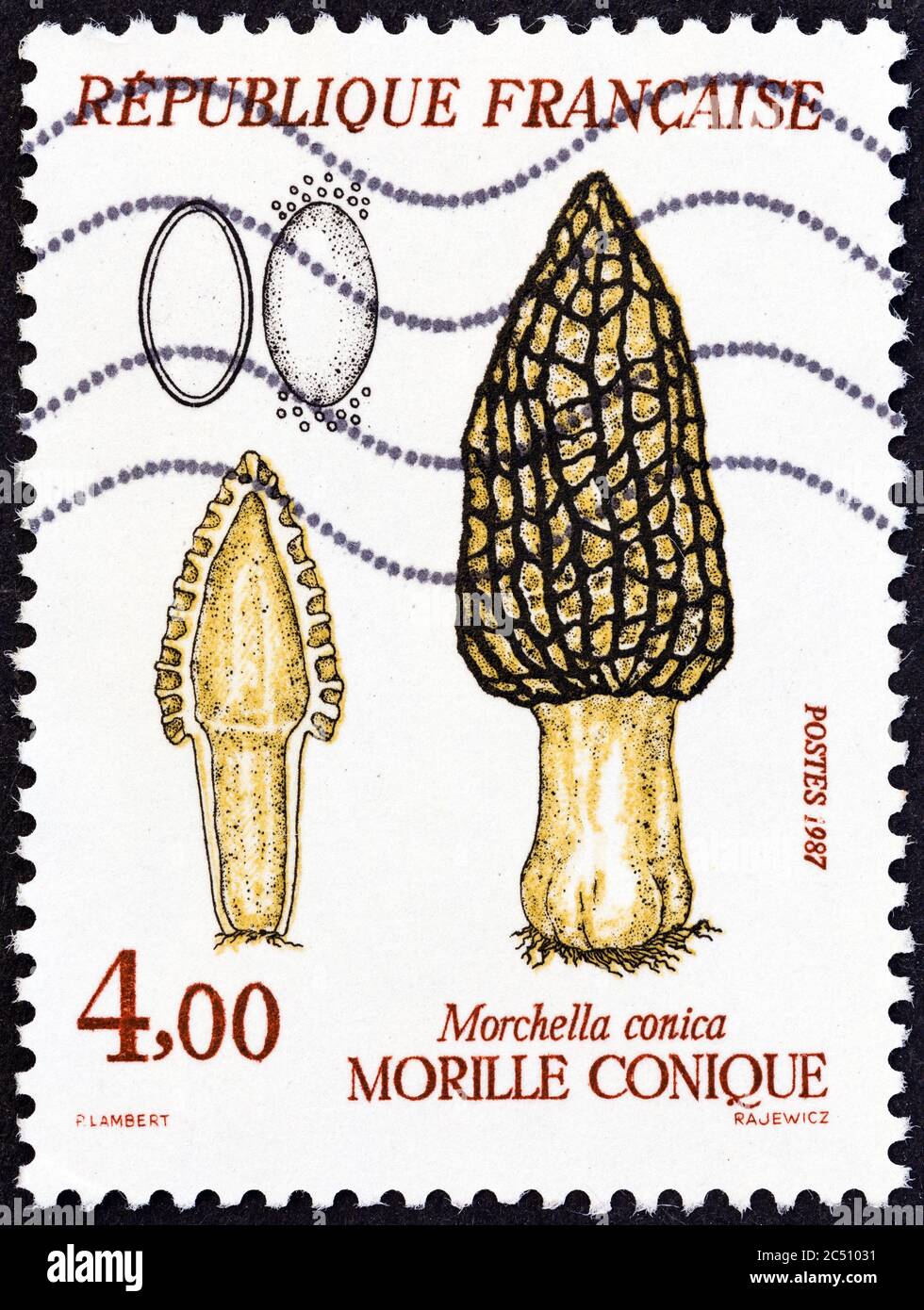FRANKREICH - UM 1987: Eine in Frankreich gedruckte Marke aus der 'Pilzen'-Ausgabe zeigt Morchella conica, um 1987. Stockfoto