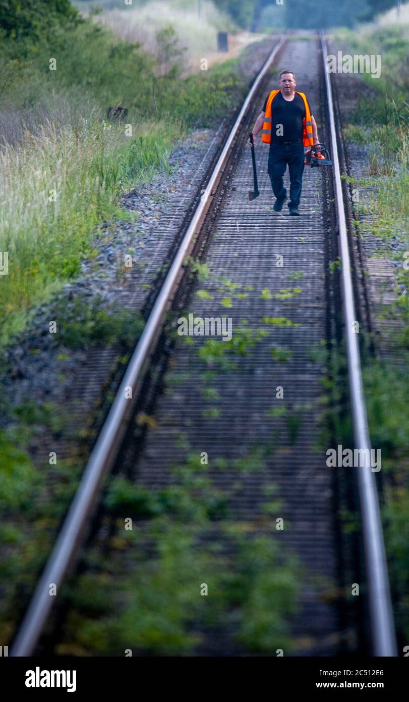 12. Juni 2020, Mecklenburg-Vorpommern, Karow: Ein Arbeiter geht auf der Gleise der Südbahn und entfernt Bäume und Äste, die zu nah an der Strecke sind. Die Ostdeutsche Eisenbahngesellschaft (ODEG) ist seit mehreren Wochen auf der Südbahnstrecke von Parchim nach Plau am See unterwegs. Die Betreiber der neuen Südbahnlinie RB19 hoffen auf steigende Passagierzahlen in der Hochsaison. Die Südbahn zwischen Malchow und Parchim wurde 2014 vom Staat eingestellt, weil zu wenig Nachfrage bestand. Dagegen gab es seit Jahren Proteste. Foto: Stockfoto